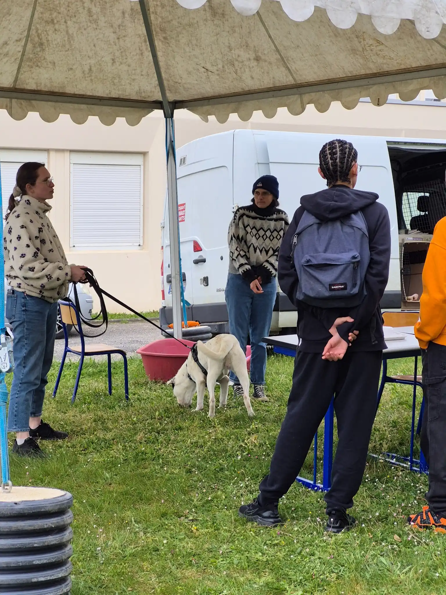 Intervention au lycée Pierre-André Chabanne : sensibiliser les jeunes au refuge, au chien et au bénévolat