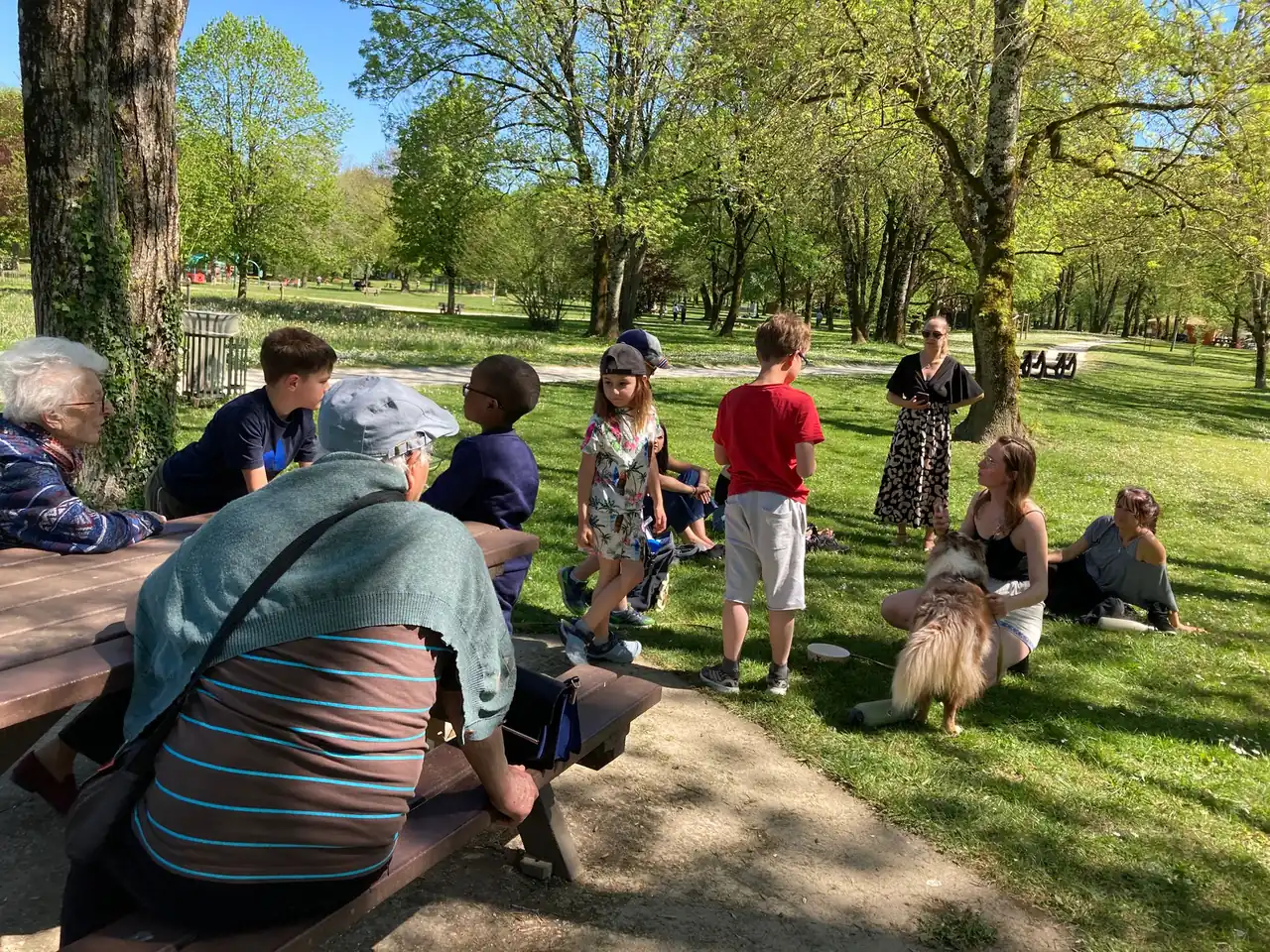 Médiation animale avec Saïka à la résidence Montana de Freigneuil : une séance entre mémoire, lien et émerveillement