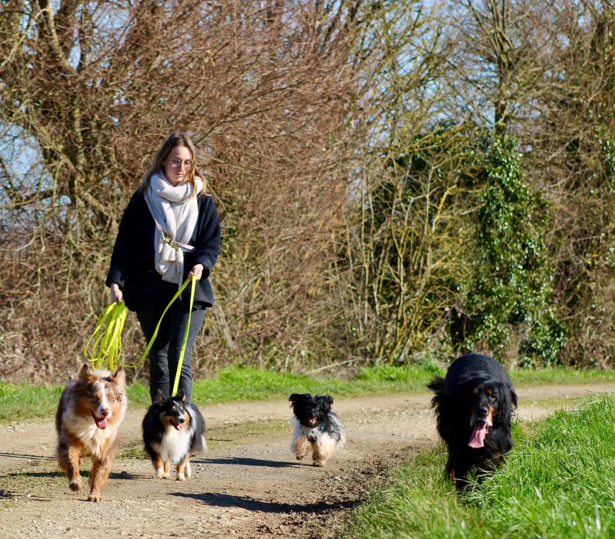 Méline en balade avec plusieurs chiens sur le terrain