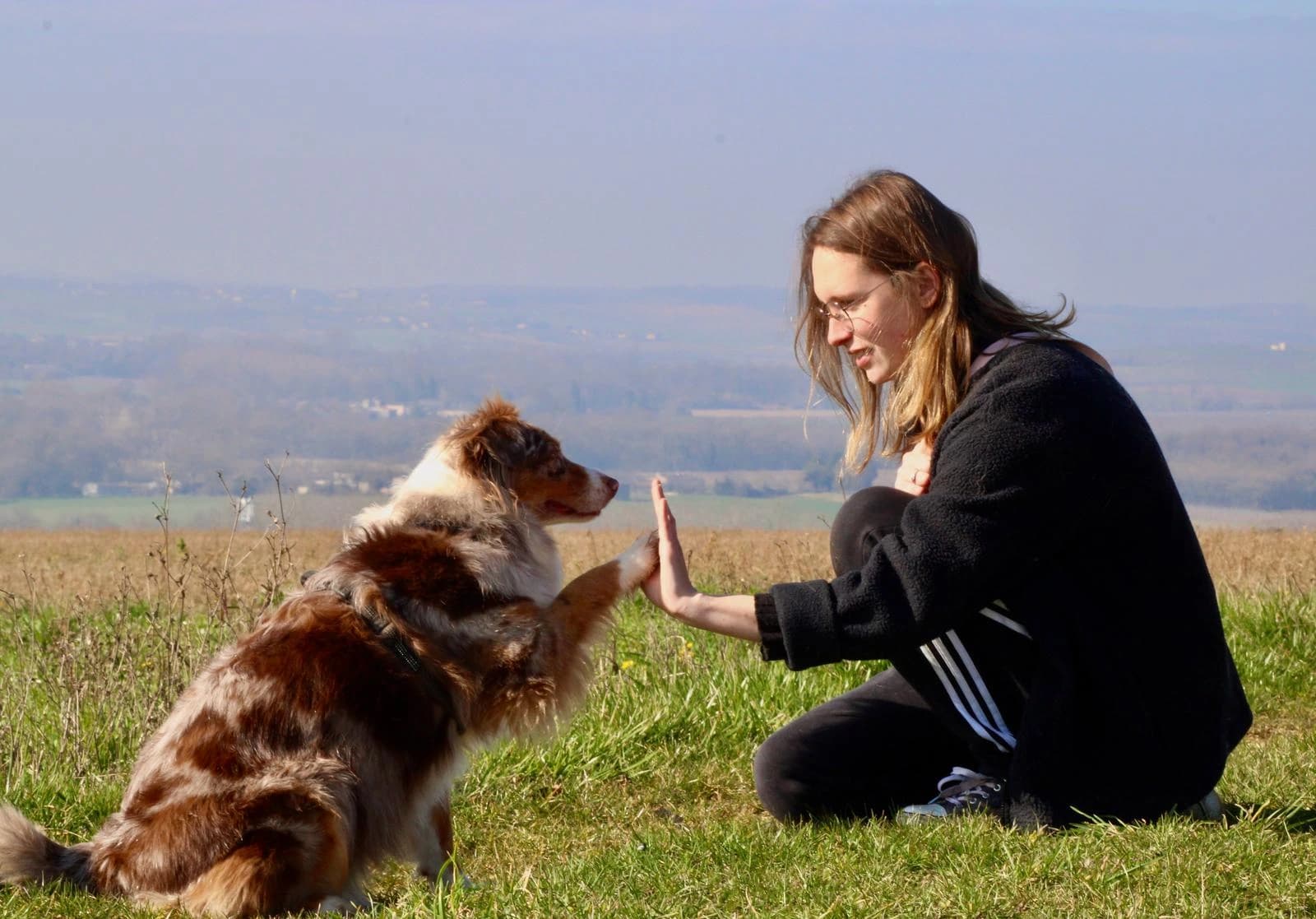Éducation positive chiot: ce que cela veut vraiment dire à la maison