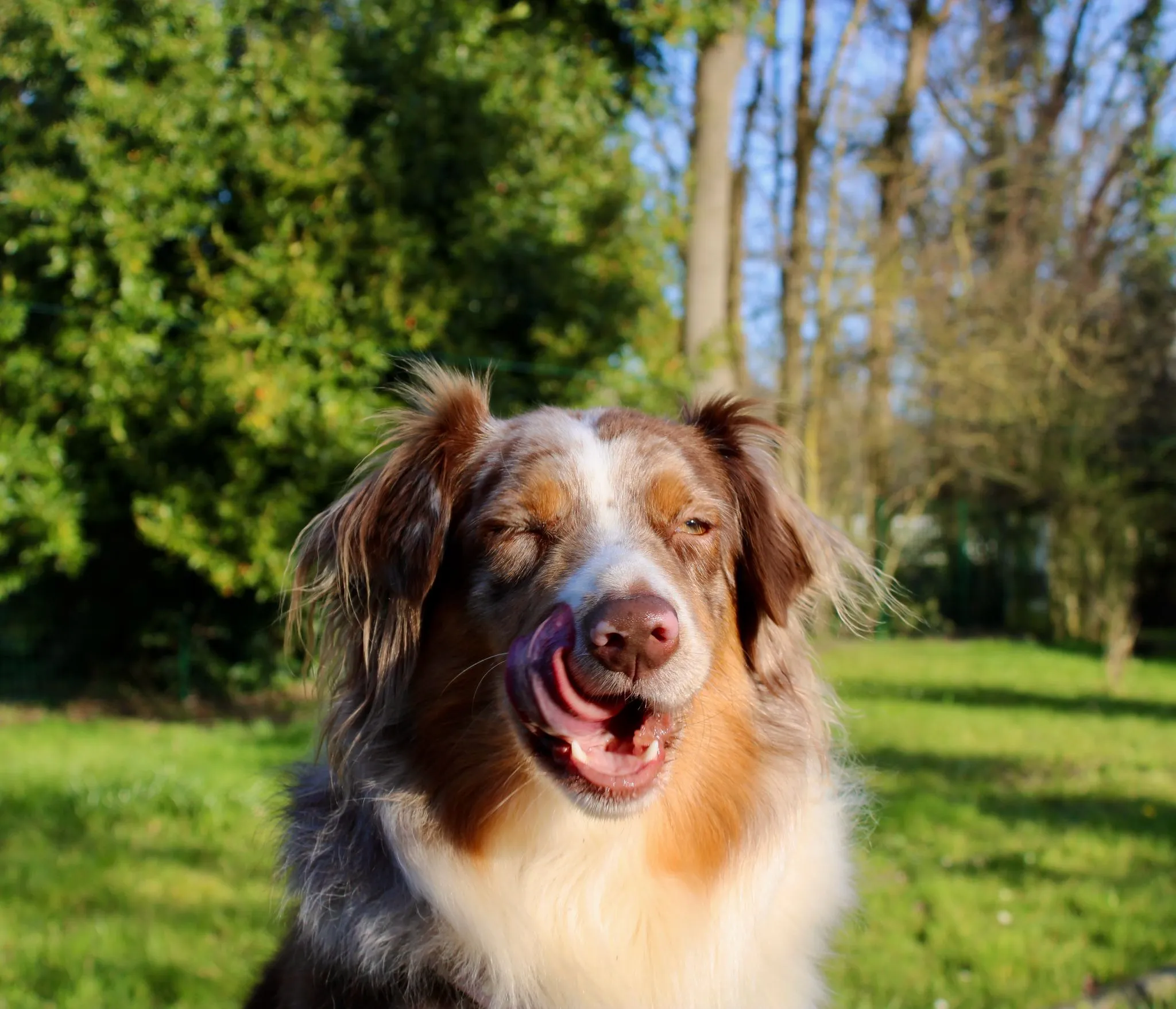 Saïka qui fait un clin d'oeil