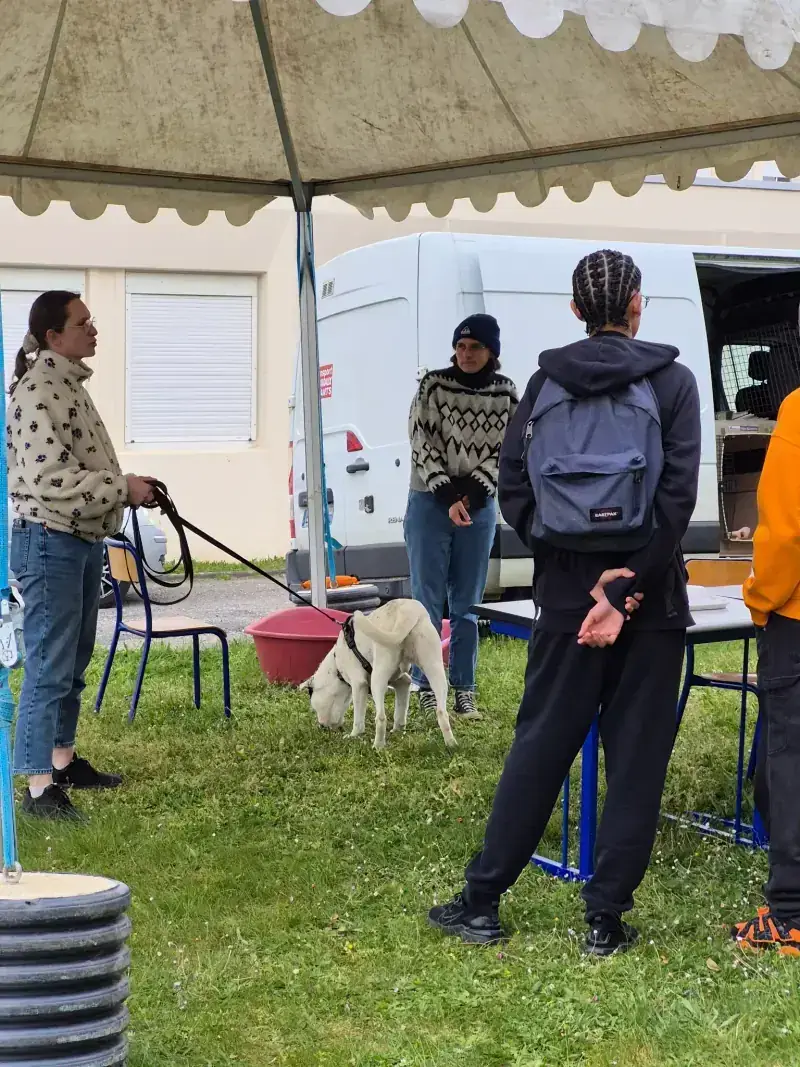 Intervention au lycée Pierre-André Chabanne : sensibiliser les jeunes au refuge, au chien et au bénévolat