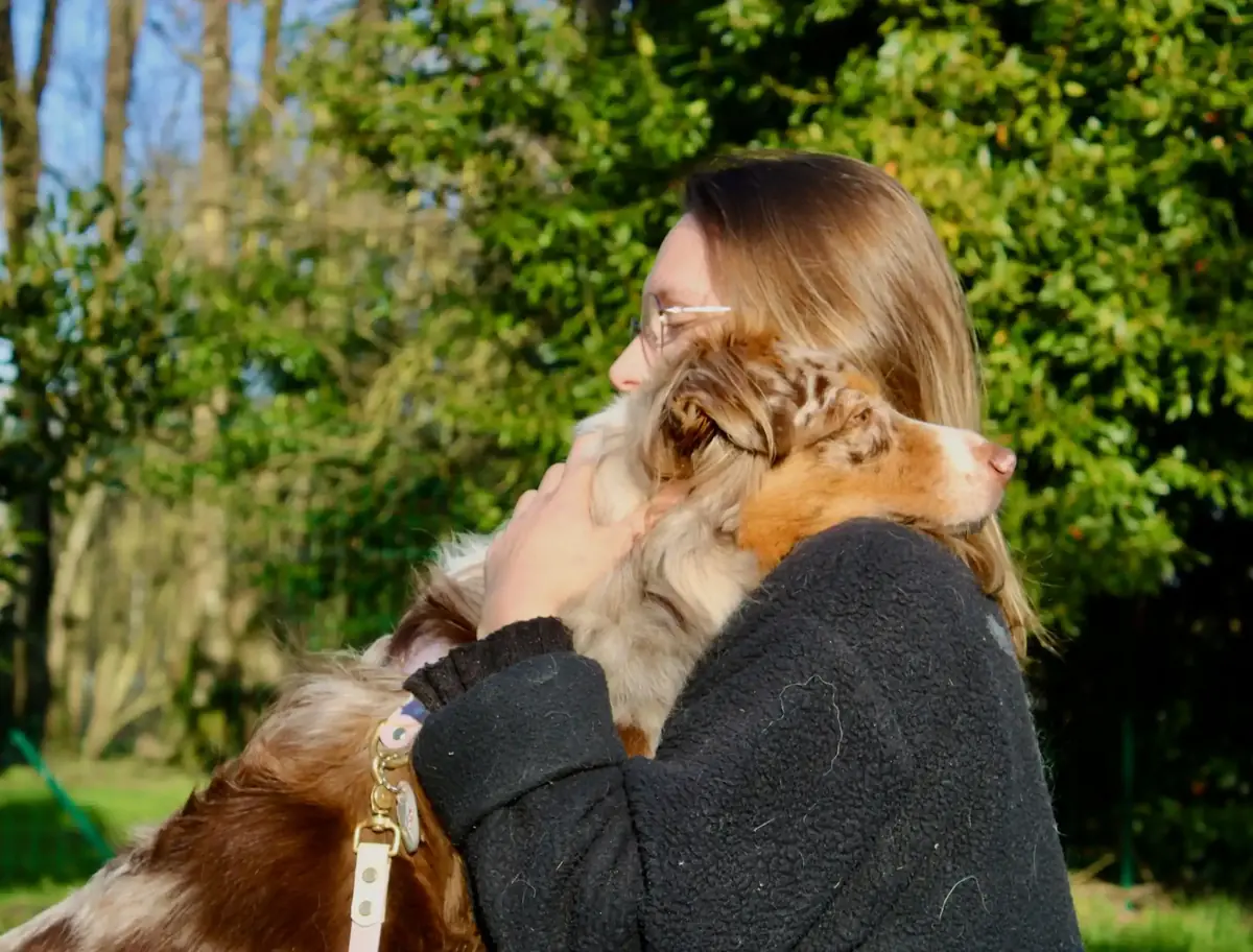 Chien peureux: comprendre son comportement avant de vouloir le 'débloquer'