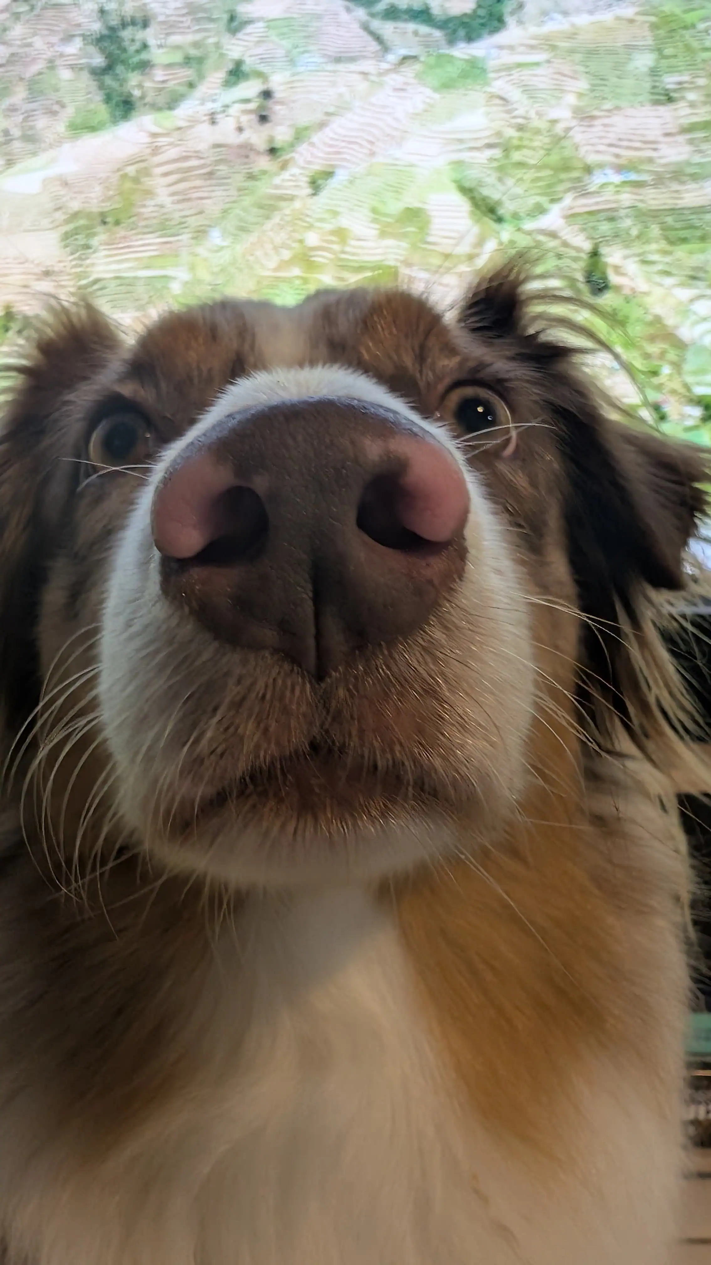 Reactif ou juste depasse ?